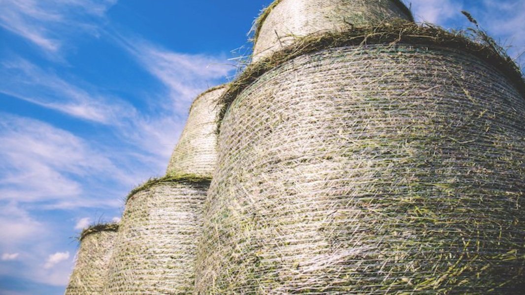 Lessons From A Haystack